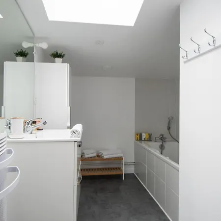 Apartment Amazing And Quiet Duplex In The Center ! Lille