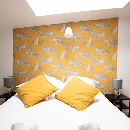 Amazing And Quiet Duplex In The Center ! Лилль